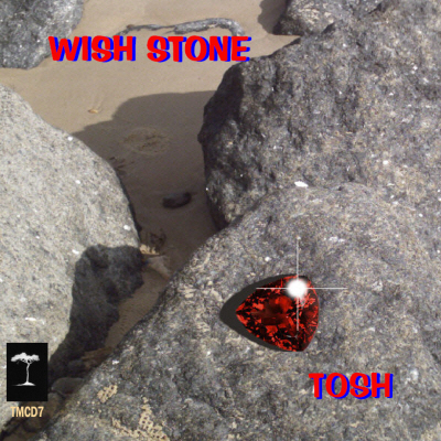 Wish Stone/ Tosh Ewins